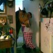 Wrong Stall
