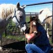 2012 New Foal
